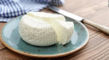 فساد علبة الجبنة من ماركة مشهورة يثير تساؤلات حول جودة المنتجات في الأسواق المحلية